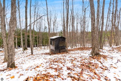 130 S Peninsula Rd, East Jordan, MI 49727 - photo 5