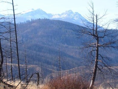 Lot 6 Dickson Creek Rd, Darby, MT 59829 - photo 2