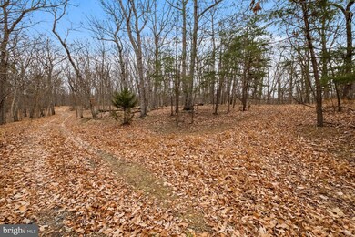 2630 Hawks Hill Ln, Keedysville, MD 21756 - photo 5