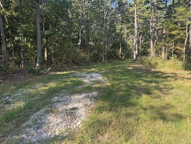 22019 State Highway K, Falcon, MO 65470 - photo 5