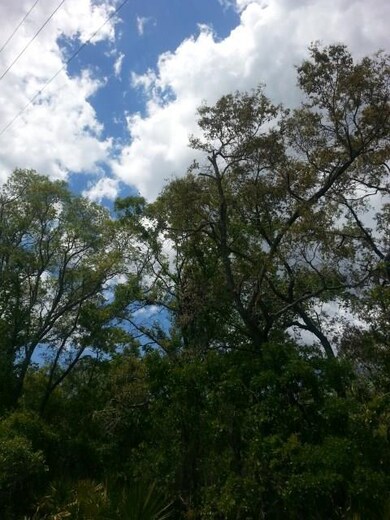 0 Seameadows Dr unit 331342, Perry, FL 32348 - photo 7