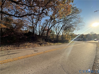 0 Old Halifax Rd, Danville, VA 24540 - photo 5