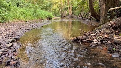 0 Ready Rd unit LotWP002 24349623, Caneyville, KY 42721 - photo 4