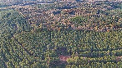 0 County Rd 95, Lafayette, AL 36862 - photo 6