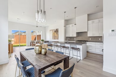 Striking statement tile backsplash and LaNova coun