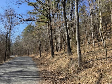 0 Higginbotham Rd unit 22020696, Little Rock, AR 72126 - photo 6