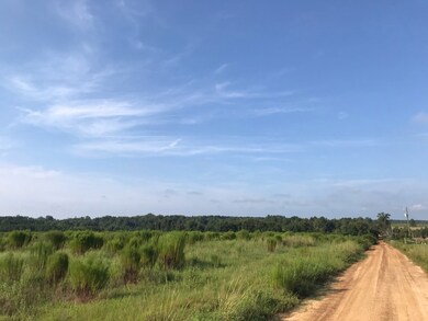 Tract 4 Mosley Rd, Uvalda, GA 30473 - photo 5