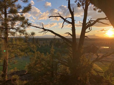 View 4