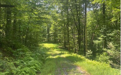 Additional View