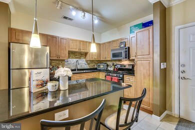 Bryson At Woodland Park unit 315, Herndon, VA 20171 - photo 6