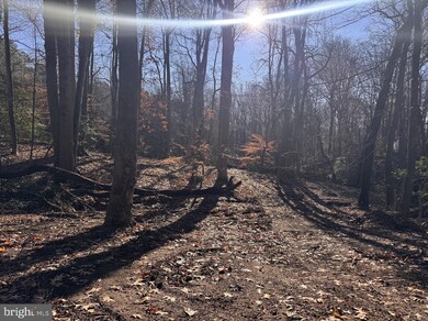 5260 Sheridan Point Rd, Prince Frederick, MD 20678 - photo 5