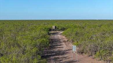 12355 Texas 131, Brackettville, TX 78832 - photo 2