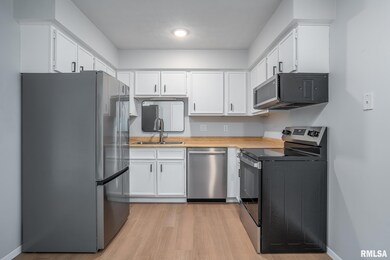 310 30th Avenue Ct unit 5, Moline, IL 61265 - photo 5