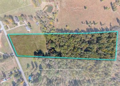 0 Chisholm Rd, Iron City, TN 38463 - photo 3