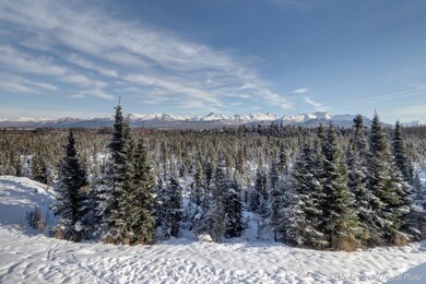 Backyard & Mountain Views