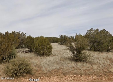 000 Via de Oro -- unit 1332, Seligman, AZ 86337 - photo 3