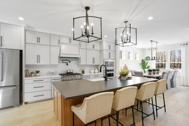 Forest Edge_Fielder_Kitchen_1