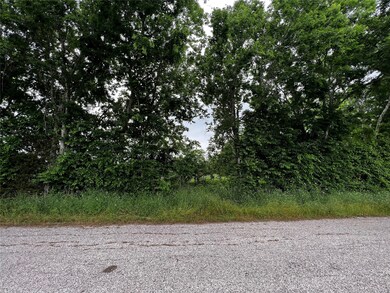 001 Old Phillipsburg Rd, Brenham, TX 77833 - photo 4