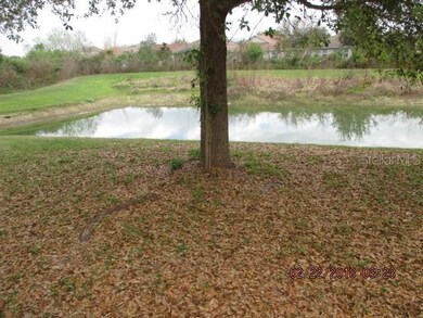 10020 Perthshire Cir, Land O Lakes, FL 34638 - photo 4