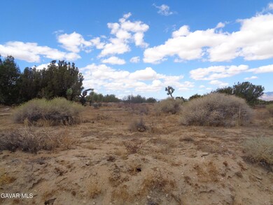 190th Stw Ave D12, Palmdale, CA 93591 - photo 4