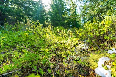 0 Griffin Creek Rd, Marion, MT 59925 - photo 6