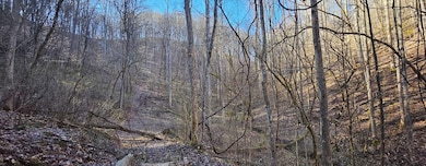 TBD Garrett Creek Rd, Abingdon, VA 24210 - photo 7