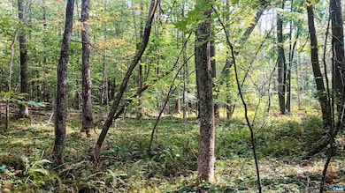 15 Deer Run Ln, Shipman, VA 22971 - photo 2