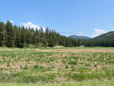 TBD-Lot 1 Immel Rd, Chewelah, WA 99109 - photo 5