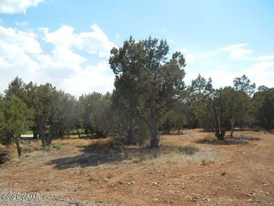 0 6th Place, Show Low, AZ 85901 - photo 7