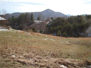 134 Big Sky Dr unit 54, Leicester, NC 28748 - photo 2