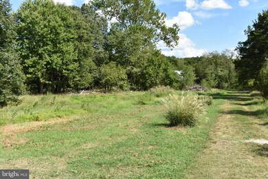 0 Wicomico Beach Rd unit (TIMBER & LAND), Newburg, MD 20664 - photo 2