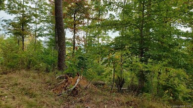 000 Briar Ridge Rd, Ramseytown, NC 28714 - photo 2