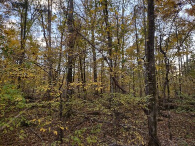 0 Milltown Rd unit RTC2453689, Lewisburg, TN 37091 - photo 6