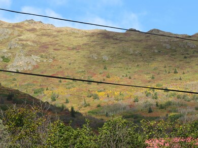 IMG_0973