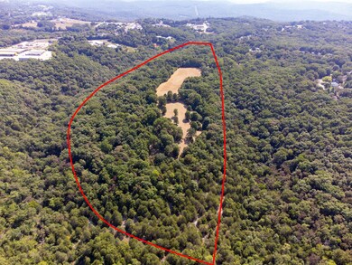 000 Kristina Ln, Kimberling City, MO 65686 - photo 7