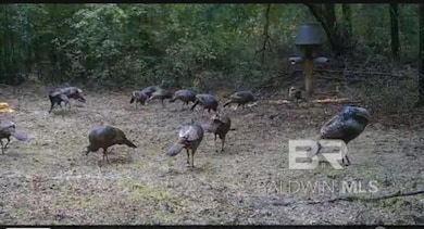 0 Dixie Rd unit 388312, Brewton, AL 36426 - photo 2