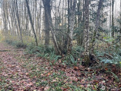 1 XX View Dr NE, Poulsbo, WA 98370 - photo 7