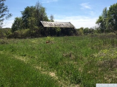 201 Cemetery Rd, Clermont, NY 12526 - photo 2