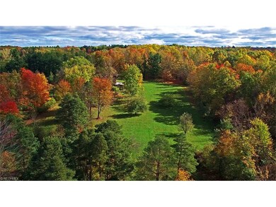 Aerial View of this Gorgeous 25 Acre Property in C