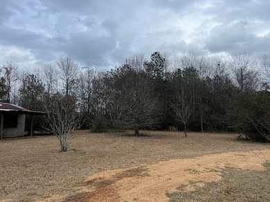 358 Holmes Rd, Jayess, MS 39641 - photo 2