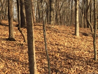 Clear trees for extra sunlight - or keep them for 