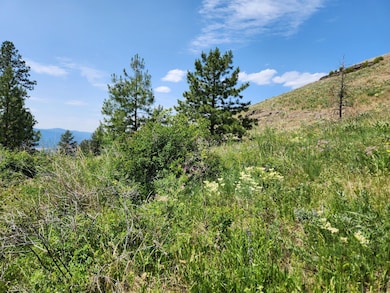 0 Tbd Roundabout Rd unit 23912009, Tonasket, WA 98855 - photo 3