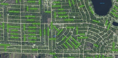 3292 Gossamer Ave, Lake Placid, FL 33852 - photo 3