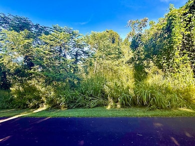 1501 Oio St, Hawaiian Beaches, HI 96778 - photo 3