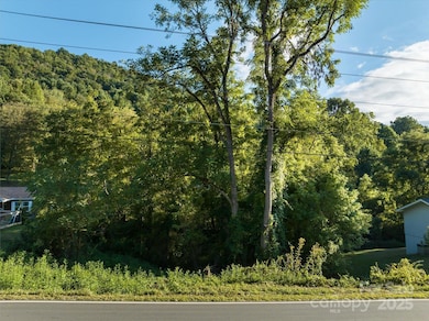 TBD Crymes Cove Rd unit 8-A, Waynesville, NC 28786 - photo 3