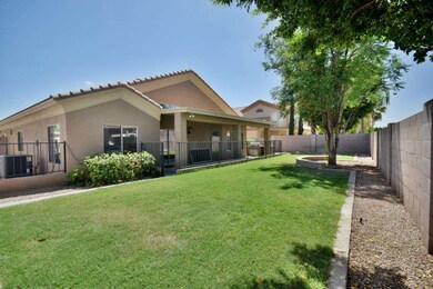 3 Backyard 1