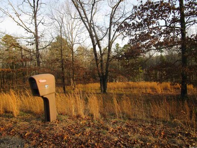 181 Quail Cove, Heber Springs, AR 72543 - photo 5