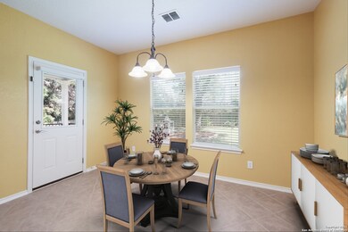 10515 Cosmos Canyon, Helotes, TX 78023 - photo 6