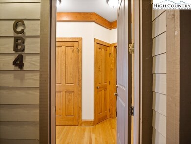 164 Evening View Ln unit CB-4, Boone, NC 28607 - photo 4
