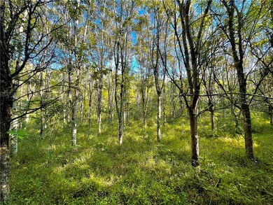00 Tree Farm Rd, Walhalla, SC 29691 - photo 7